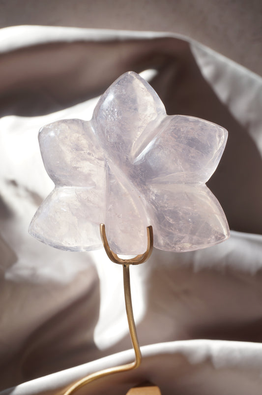 Rose Quartz Orchid