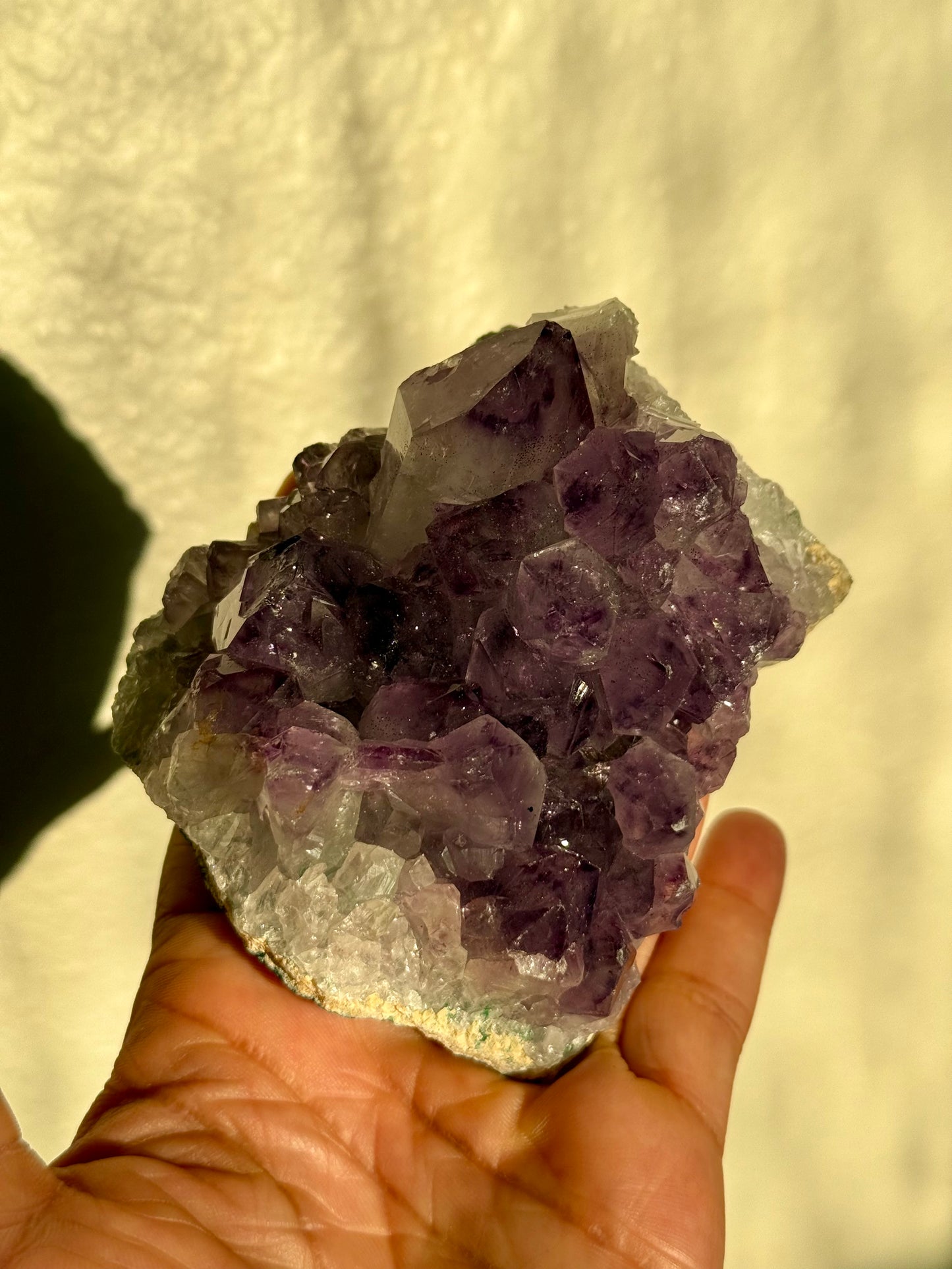 Amethyst Cluster